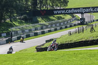 brands-hatch-photographs;brands-no-limits-trackday;cadwell-trackday-photographs;enduro-digital-images;event-digital-images;eventdigitalimages;no-limits-trackdays;peter-wileman-photography;racing-digital-images;trackday-digital-images;trackday-photos